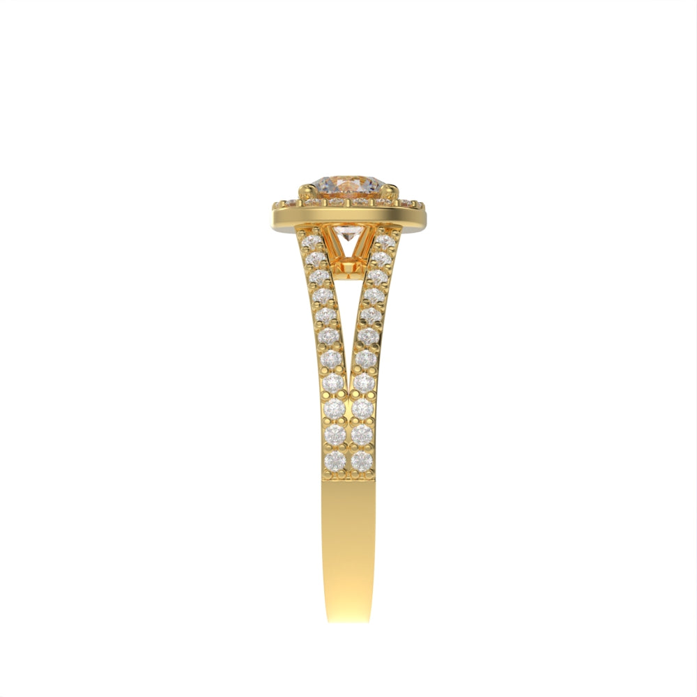 Elegant double shank halo ring