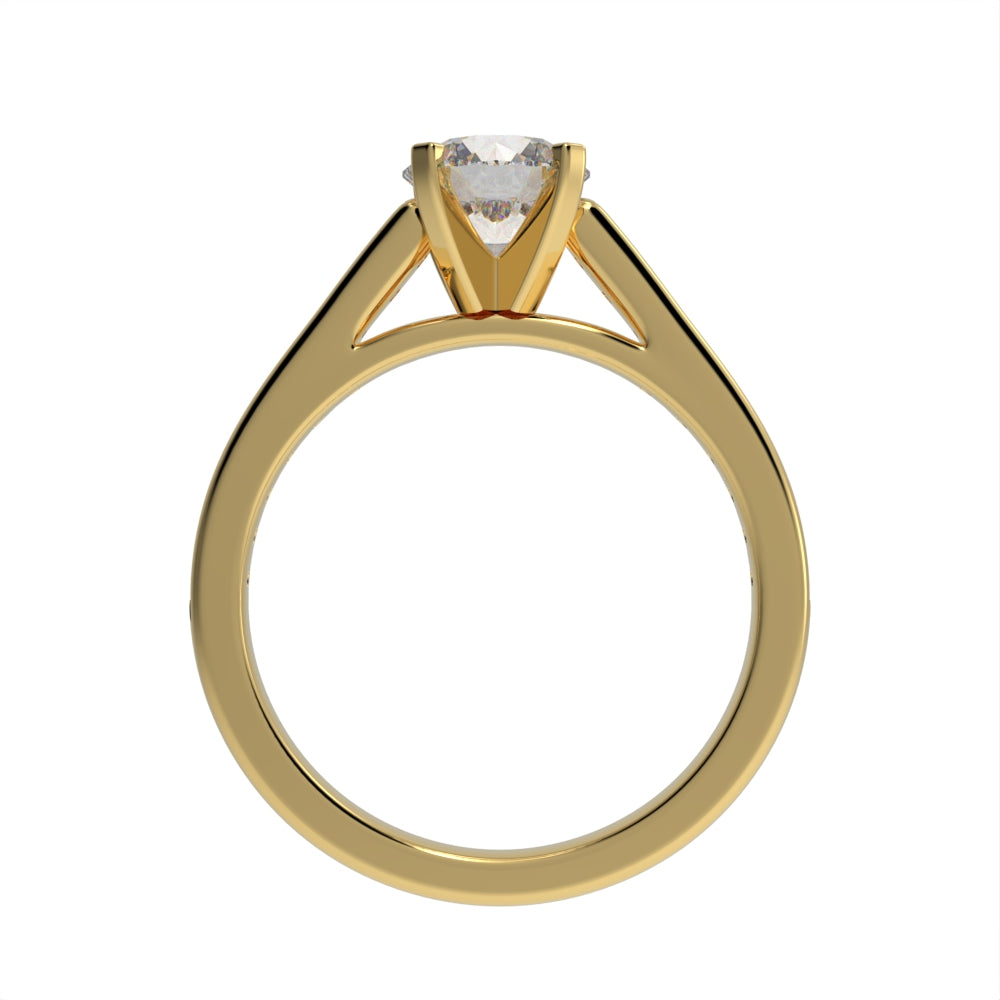 Elegant cathedral pave ring