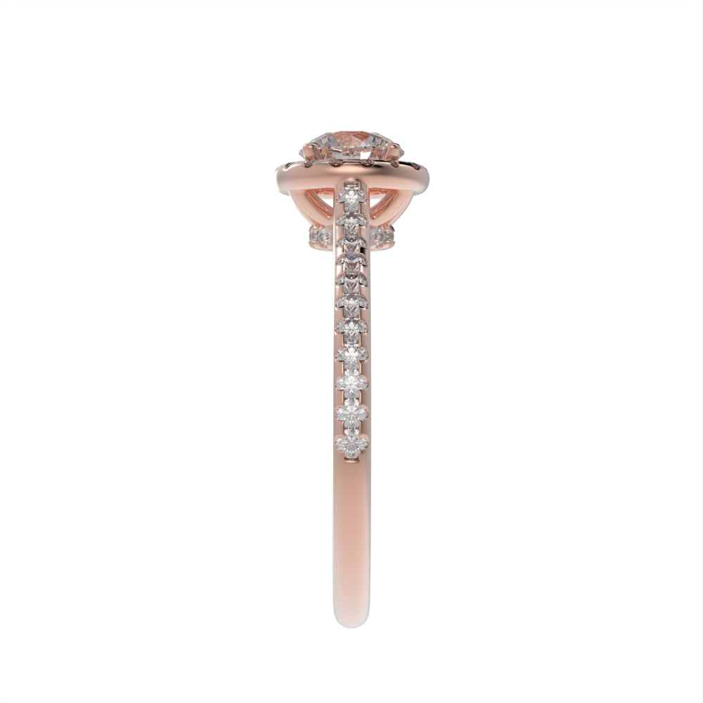 Brilliant arc halo ring