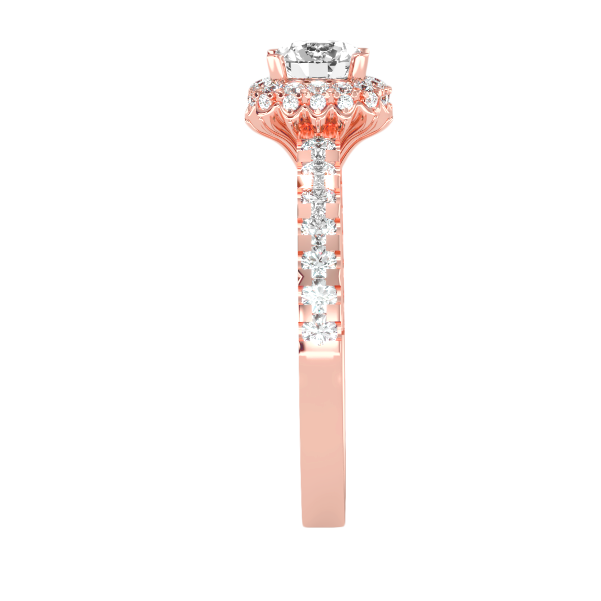 3 C RH_RD_291