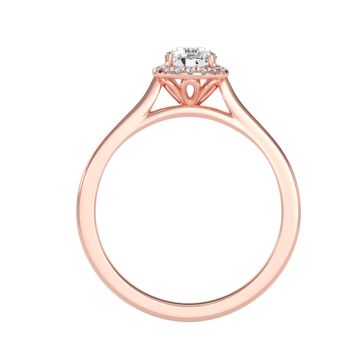 3 C RH_RD_239 