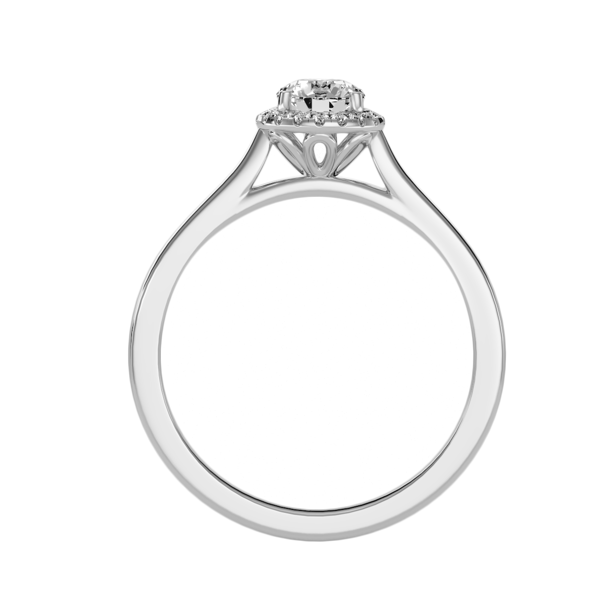 3 C RH_RD_239 